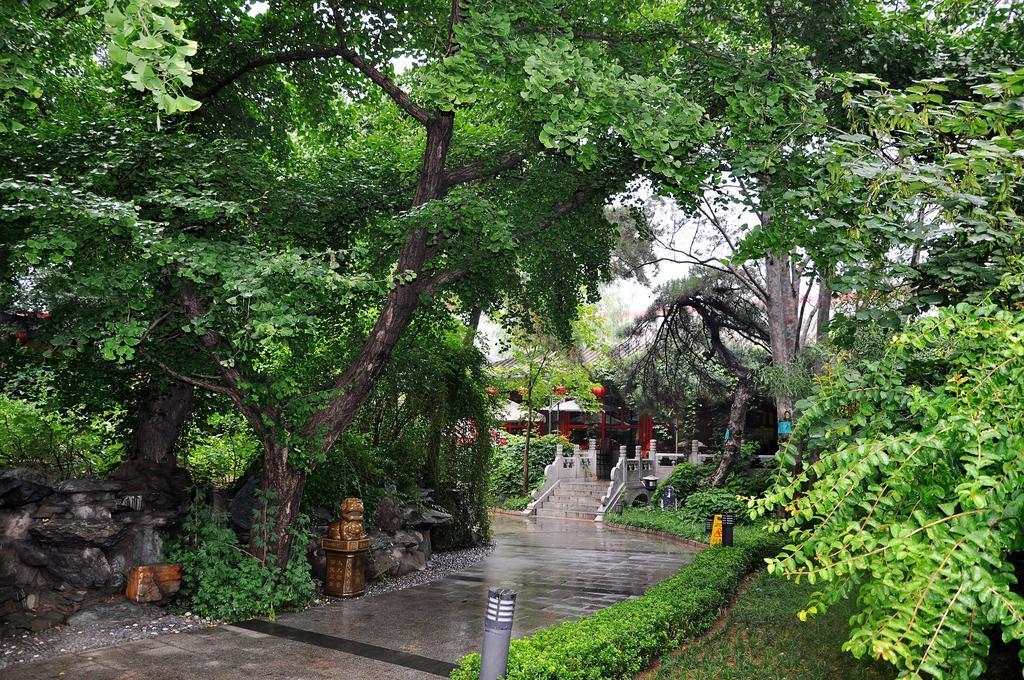 Bamboo Garden