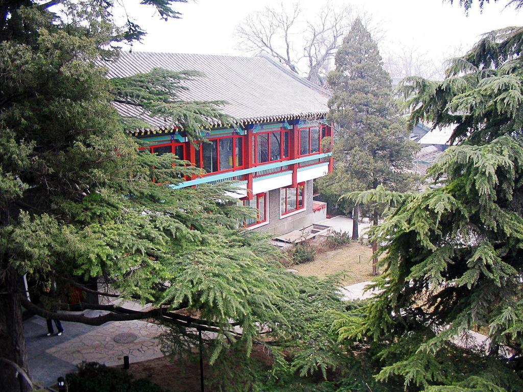 Hotel Bamboo Garden