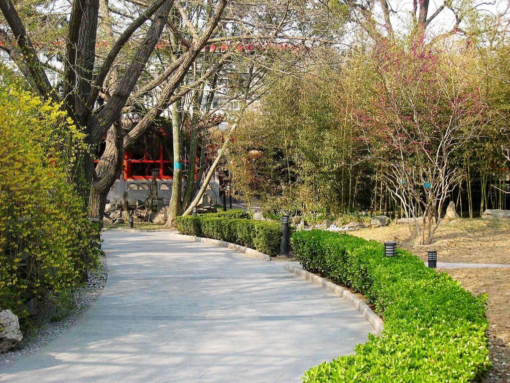 Hotel Bamboo Garden 3*